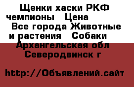 Щенки хаски РКФ чемпионы › Цена ­ 90 000 - Все города Животные и растения » Собаки   . Архангельская обл.,Северодвинск г.